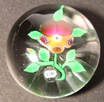 Rare Baccarat Pansy Paperweight dated 1851