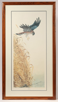 John A. Ruthven (Ohio) "American Kestrel" Print