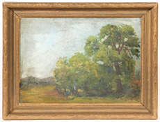 ILLEGIBLY SIGNED EARLY 20TH CENTURY OIL PAINTING