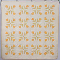 Early Appliqued Quilt
