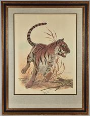 John A. Ruthven  Lithograph "Bengal Tiger"